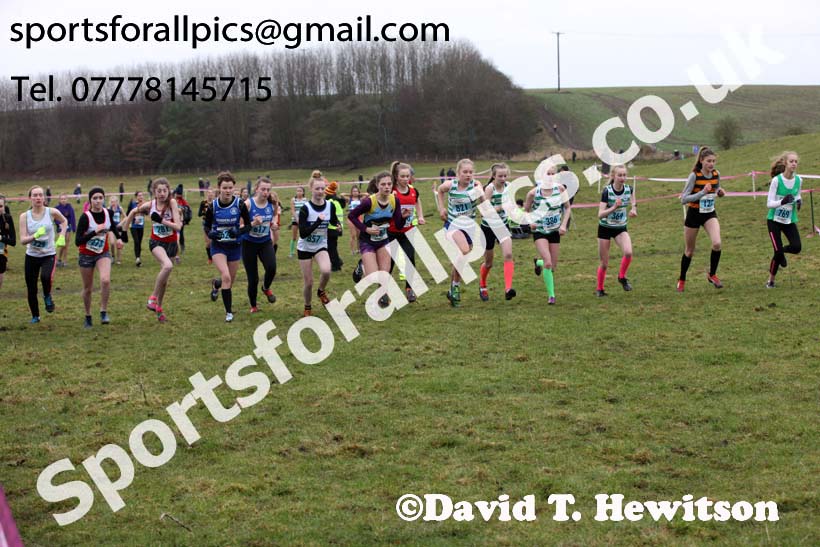 Girls under-15s, Start Fitness NEHL, Thornley Hill Farm, Peterlee, County Durham. Photo: David T. Hewitson/Sports for All Pics